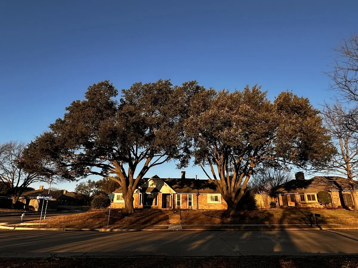 Established residential canopy tree shading a home in Toughkenamon