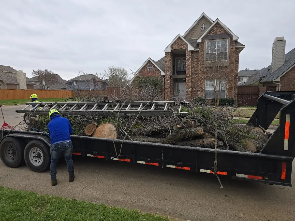 Expert Lot Clearing with proper safety equipment in Toughkenamon